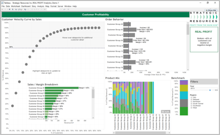 Visualization Image - Strategic Resources, Inc